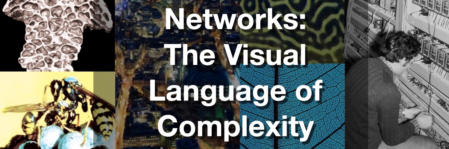 Banner image of complex networks